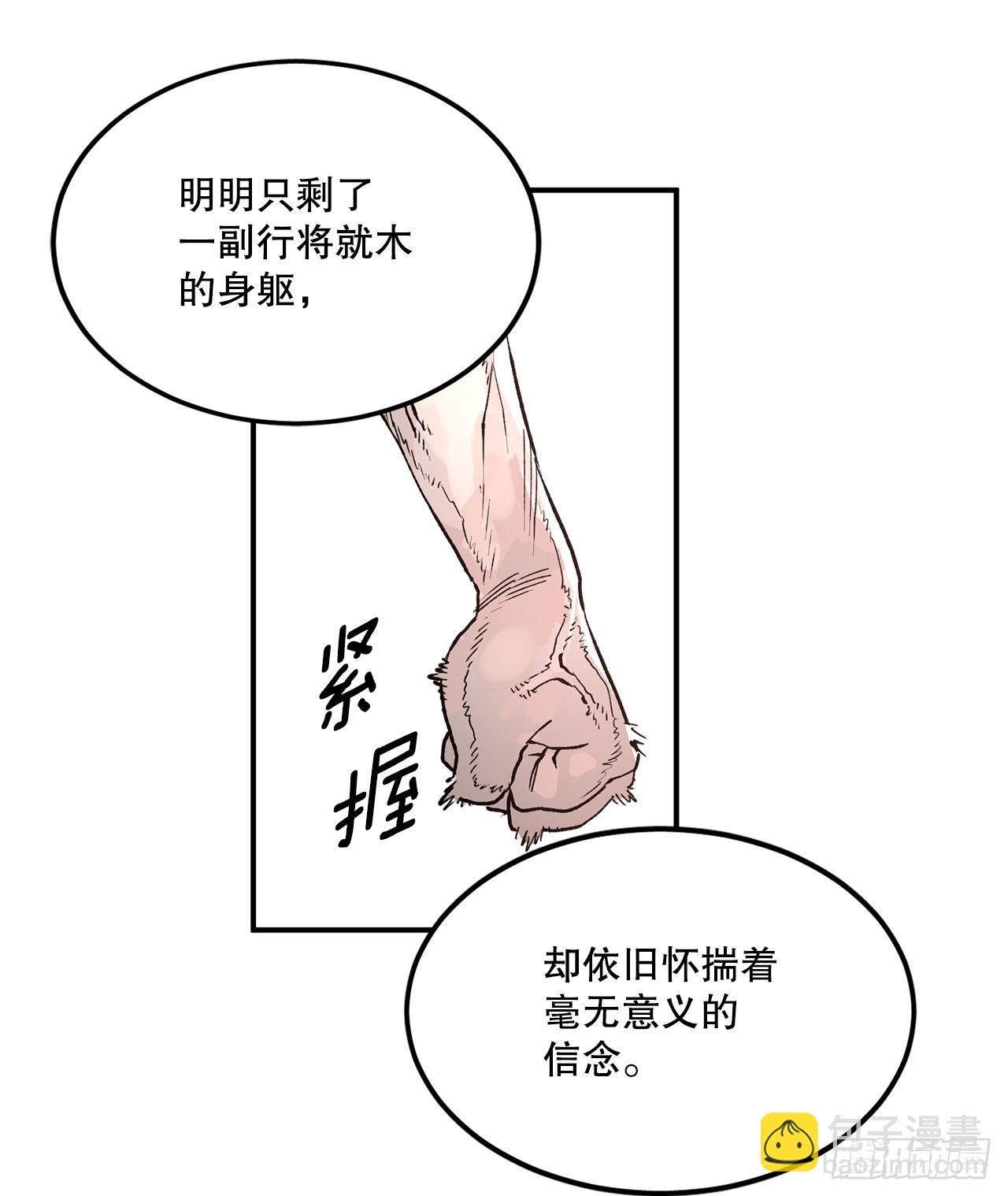 48.尔滋的最后34