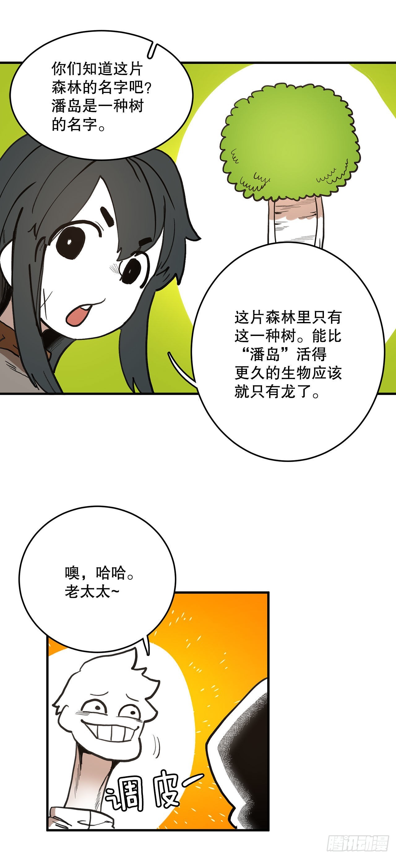 13.潘岛森林16
