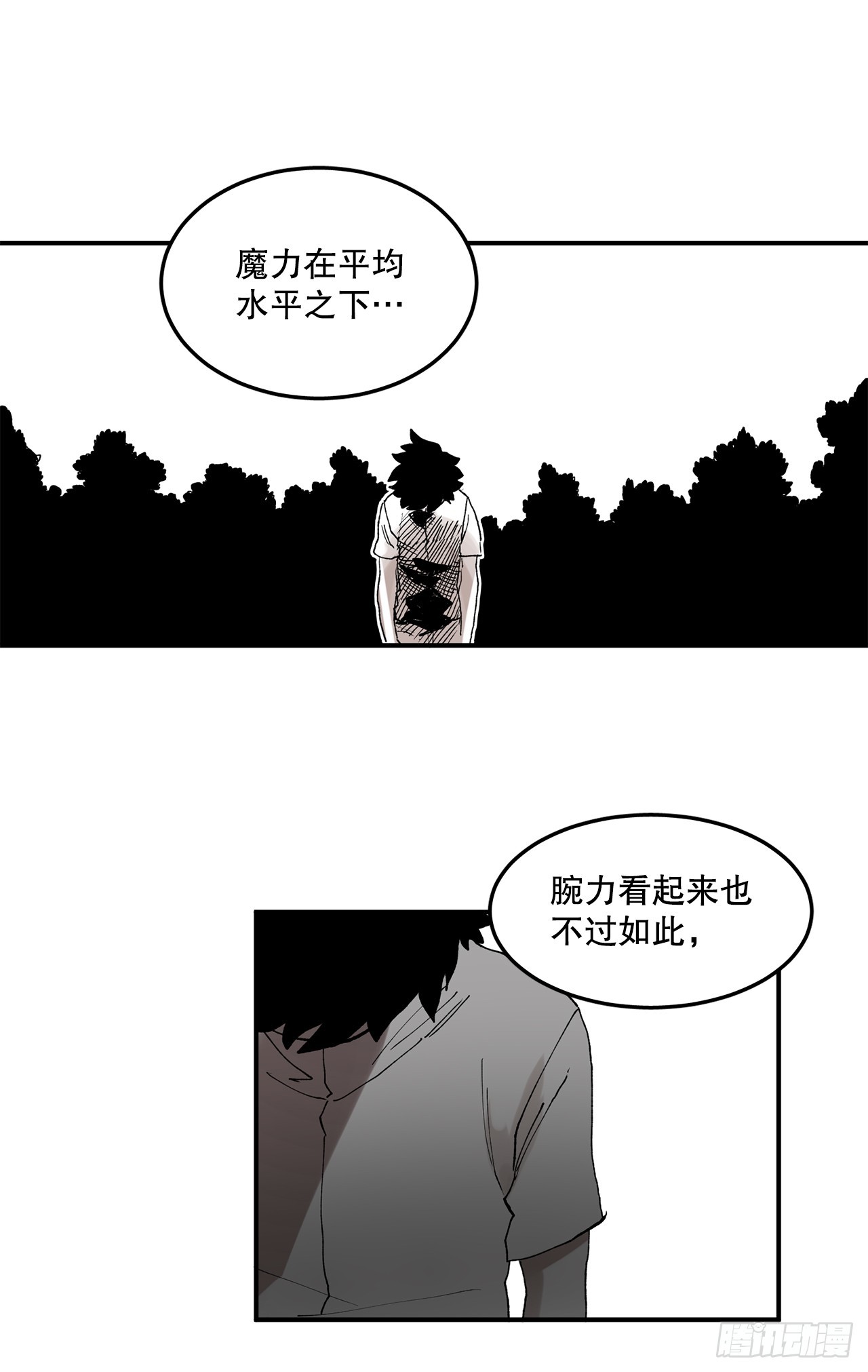 49.悲伤的卡佩鲁斯47