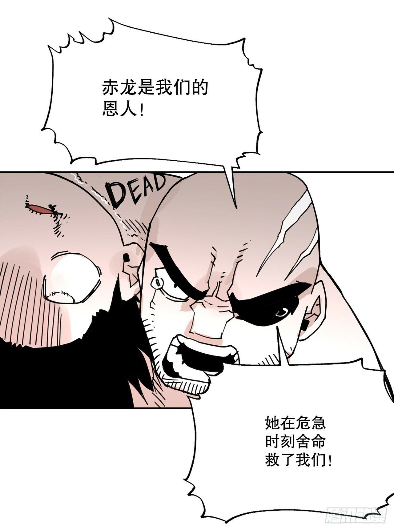 74.寻找伊维43