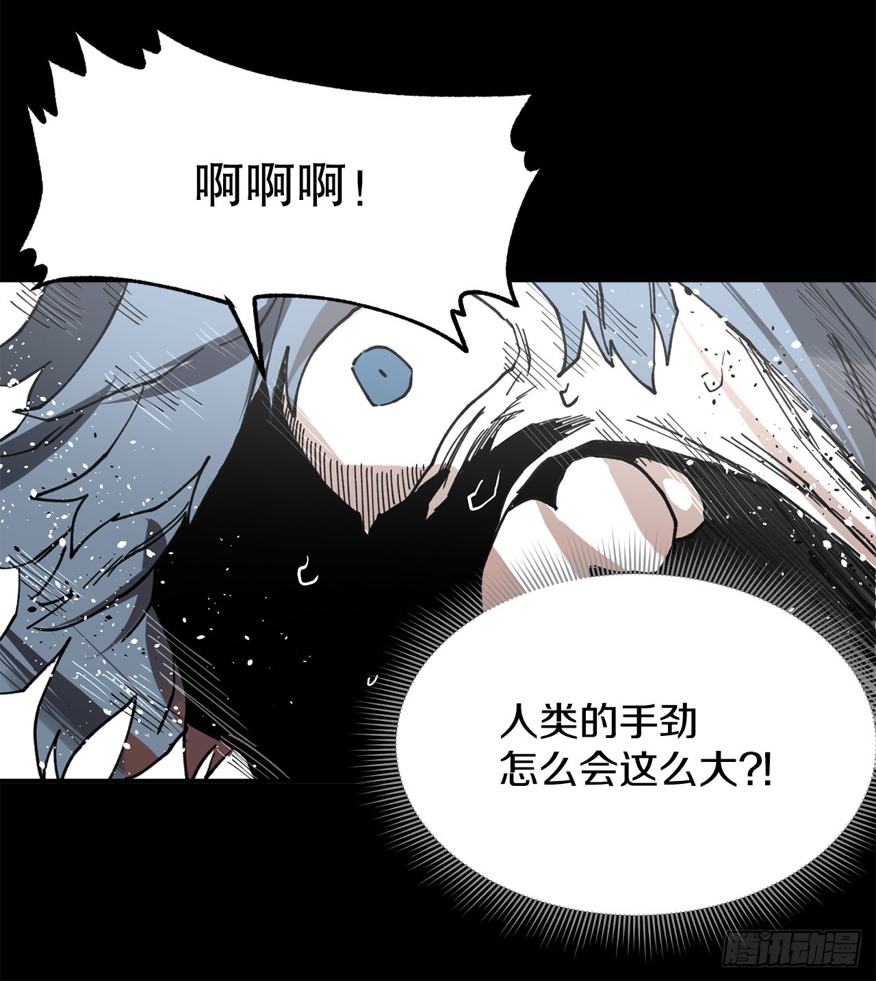 43.挪伯特36