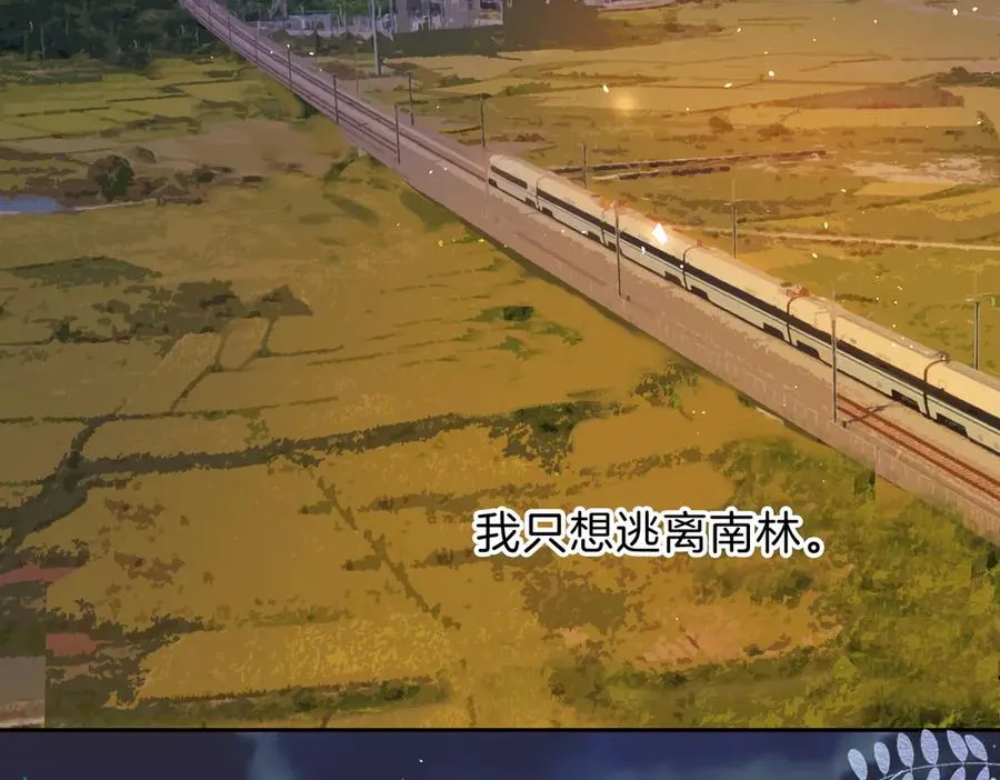第69话 逃离南林45