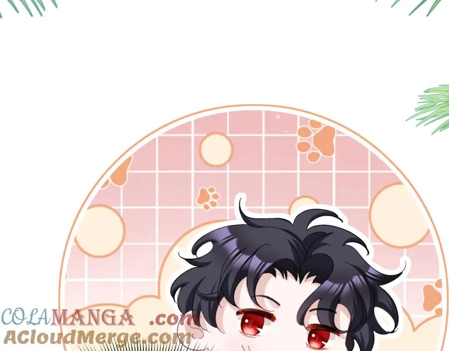 045 霸总情人9