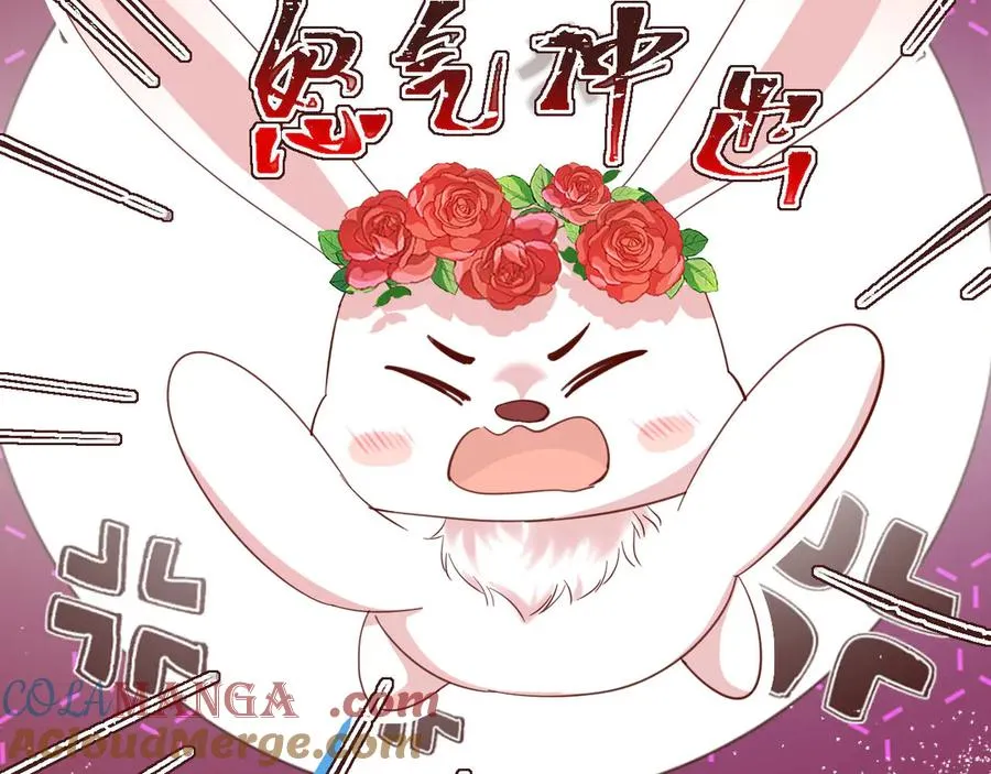 017 以命换命54