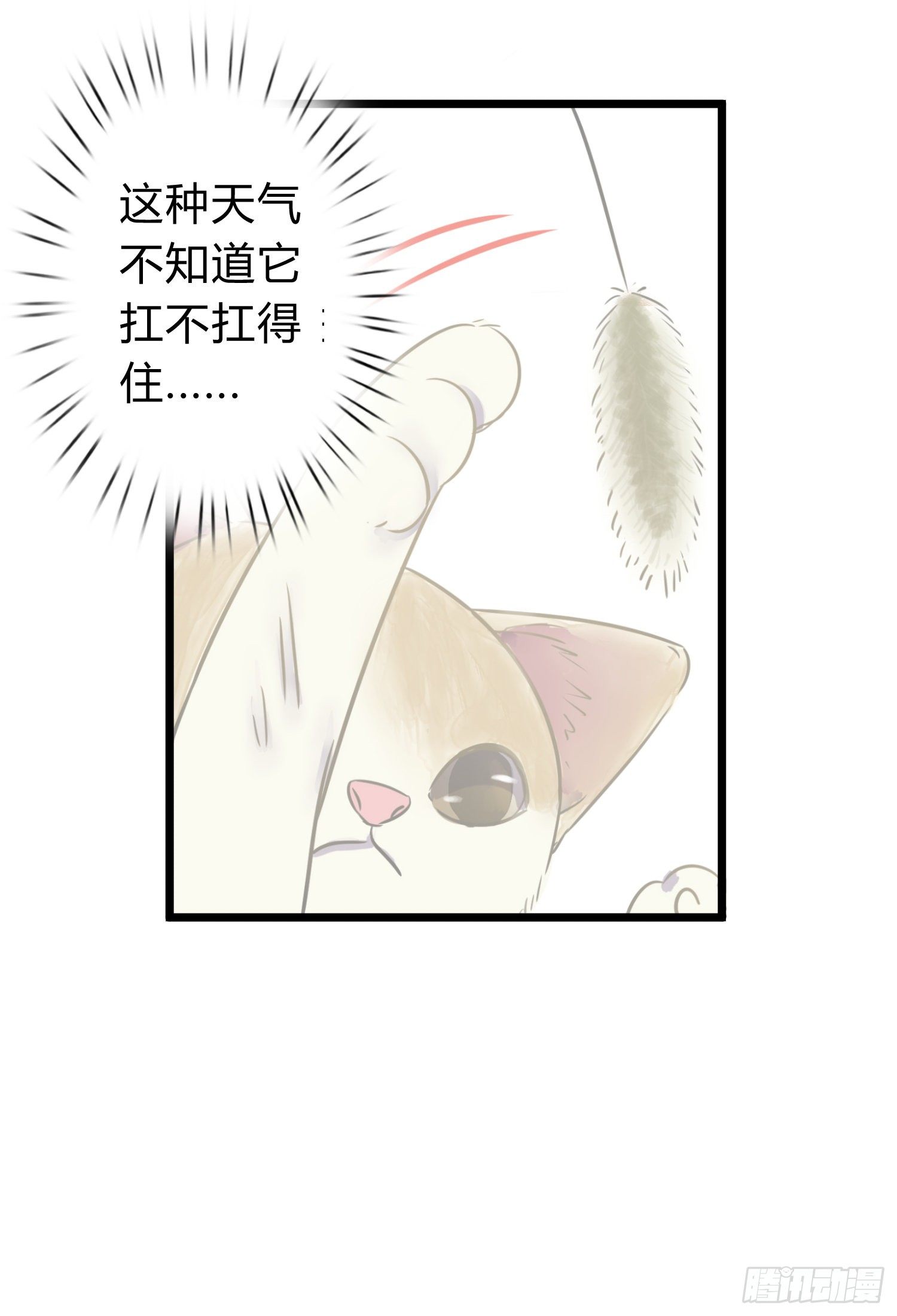 14-同居邀请3