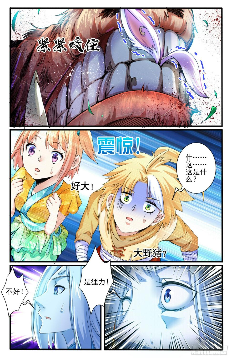 33.狸力 (1)11