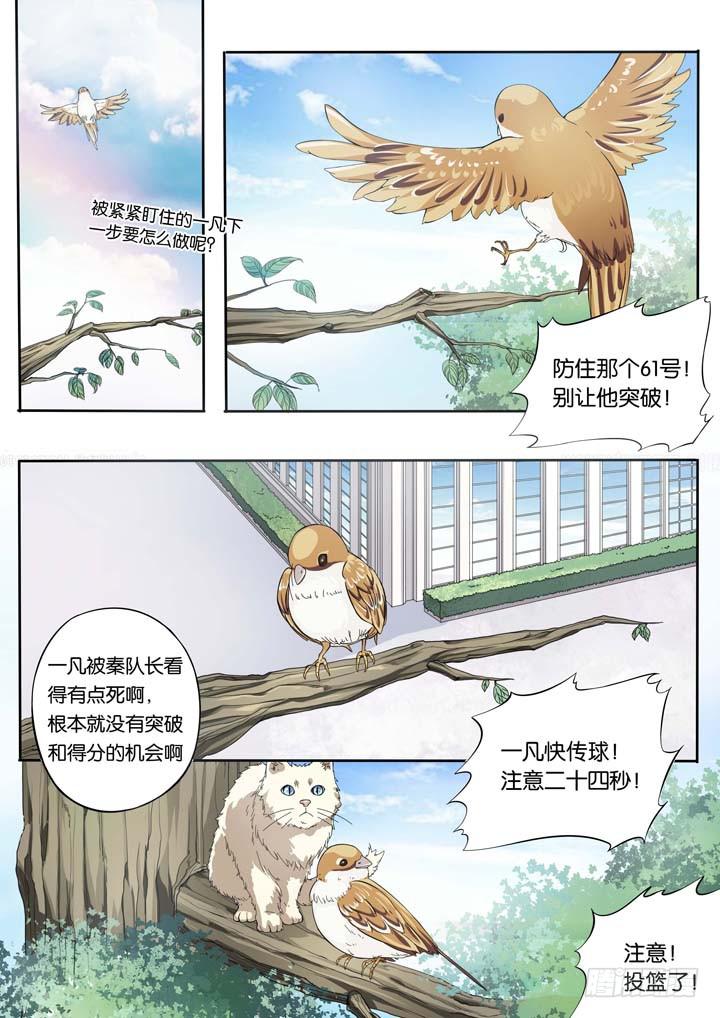 第二十四球：两个翅膀1