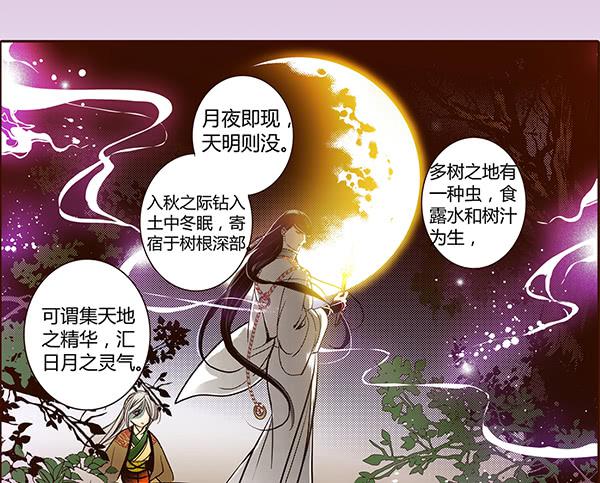 13 隐龙之泽33