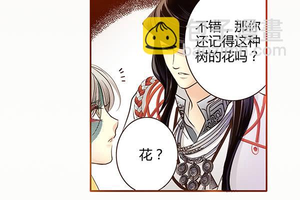 06 樱桃树木13