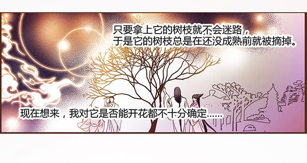 06 樱桃树木15