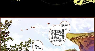 05 迷谷树枝39
