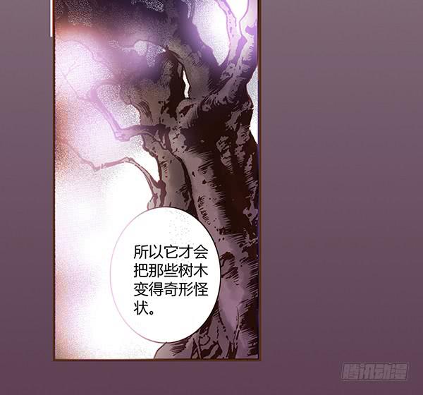 06 樱桃树木22