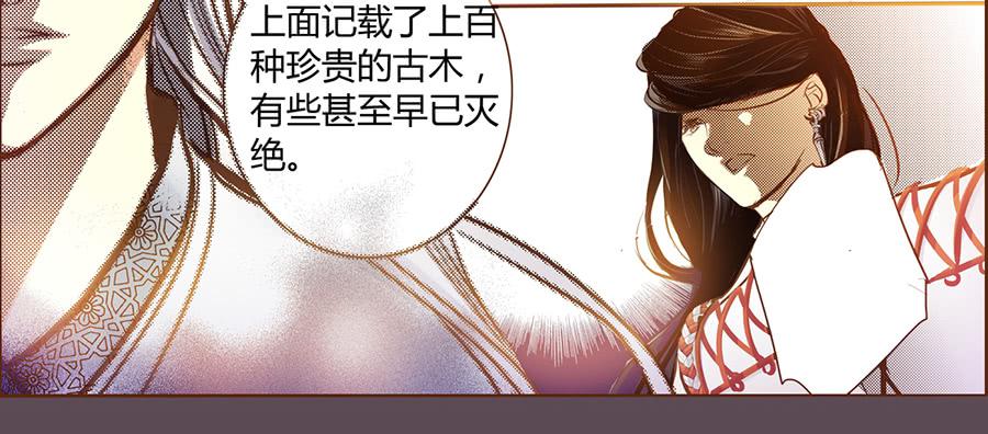 06 樱桃树木62