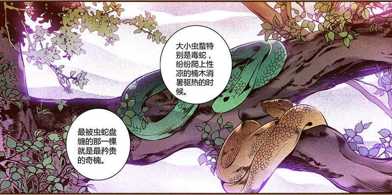 31 不死之木（二）11