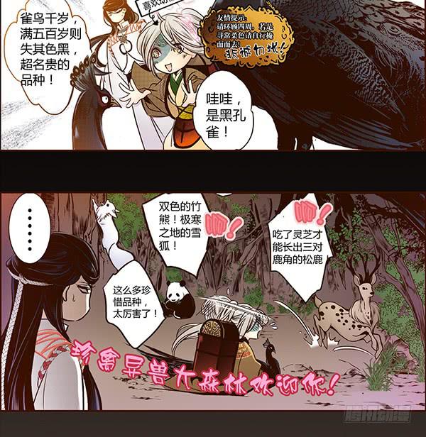 13 隐龙之泽26