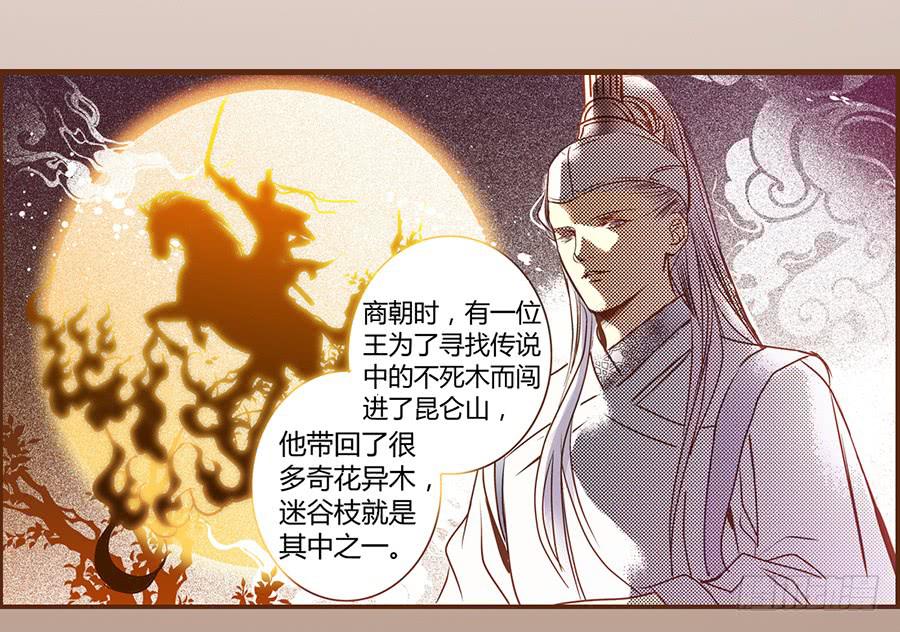 06 樱桃树木57