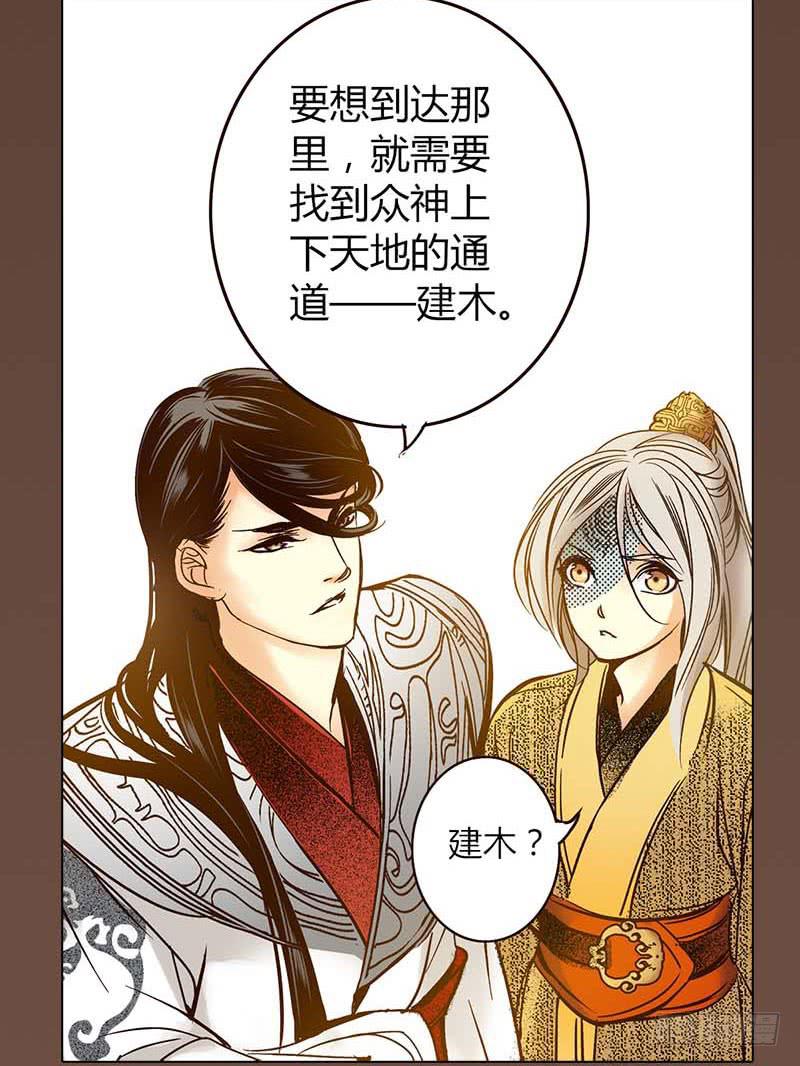 30 不死之木9