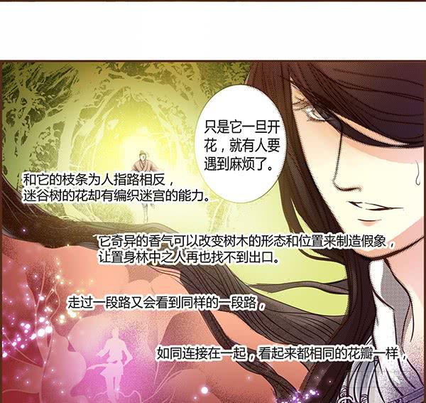 06 樱桃树木17
