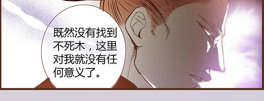 06 樱桃树木46