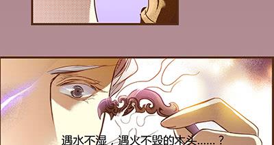 05 迷谷树枝46