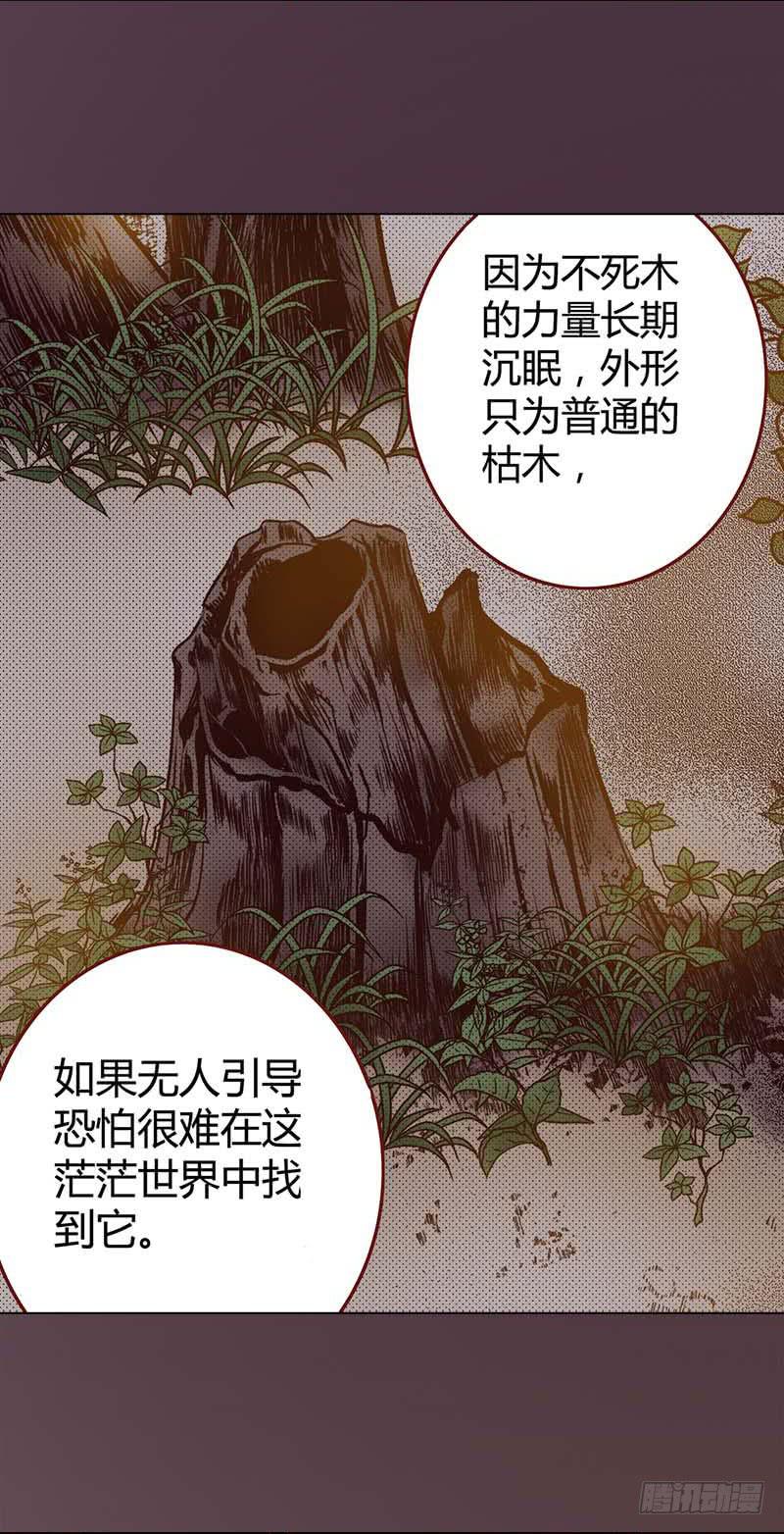 31 不死之木（二）44