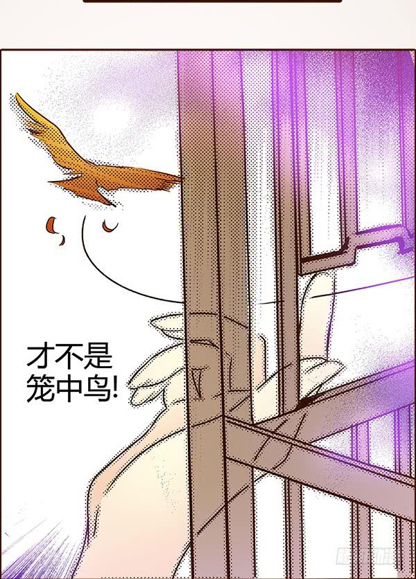 16 摇钱树下42