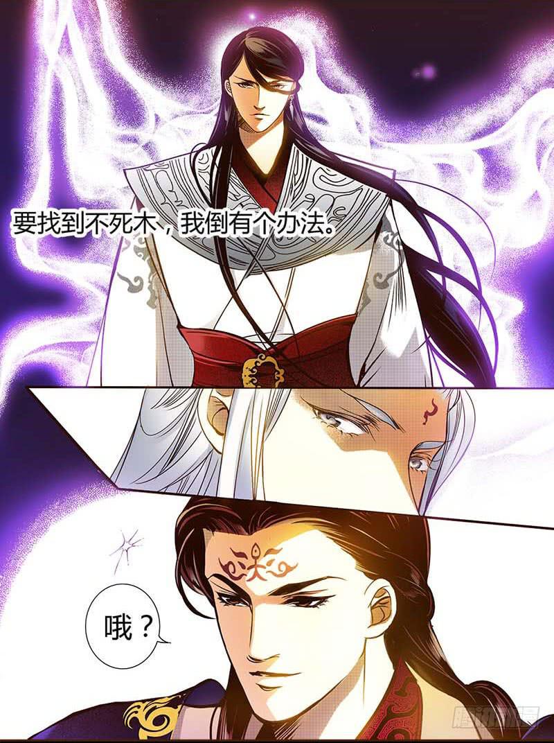 31 不死之木（二）1