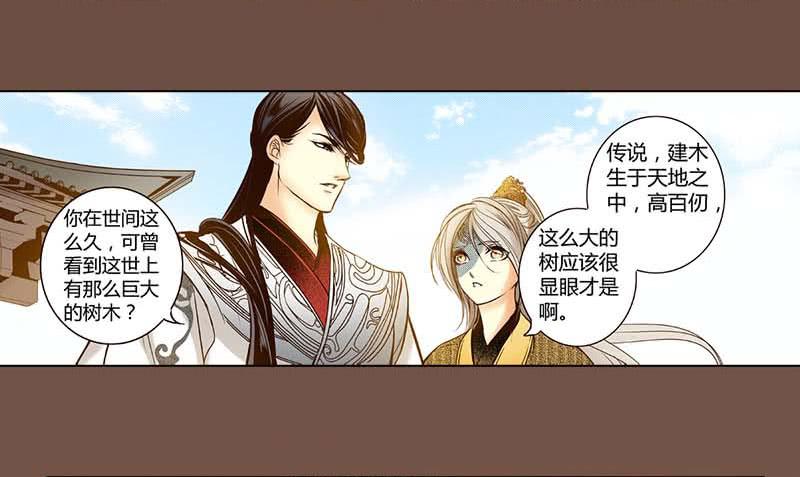 30 不死之木10