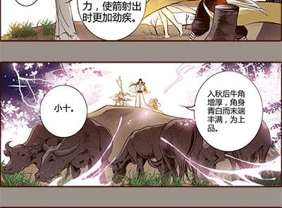 12 山穷水尽49