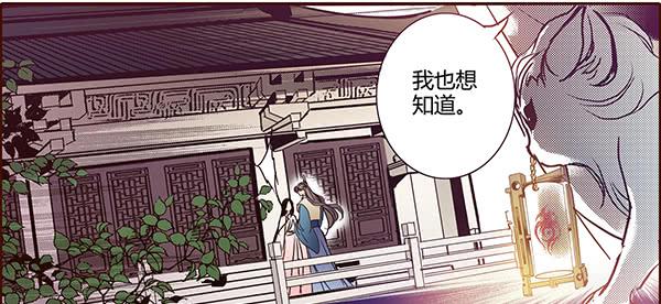 19 前所未闻16