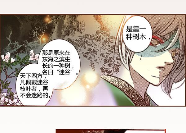 06 樱桃树木12