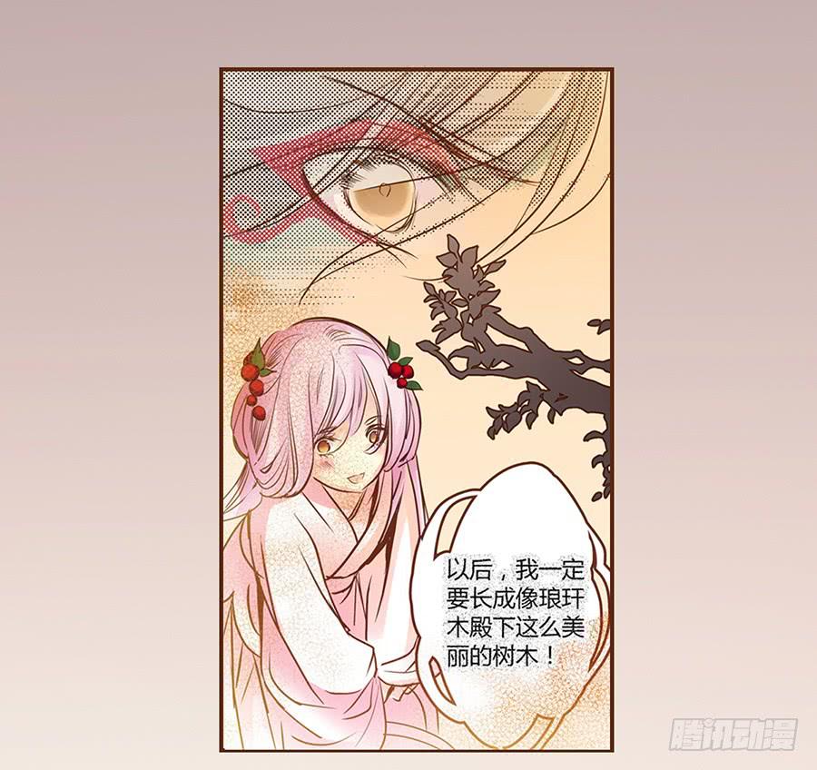 06 樱桃树木40