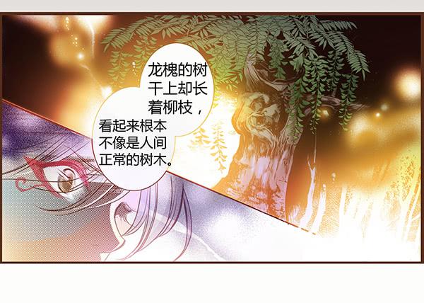 06 樱桃树木5