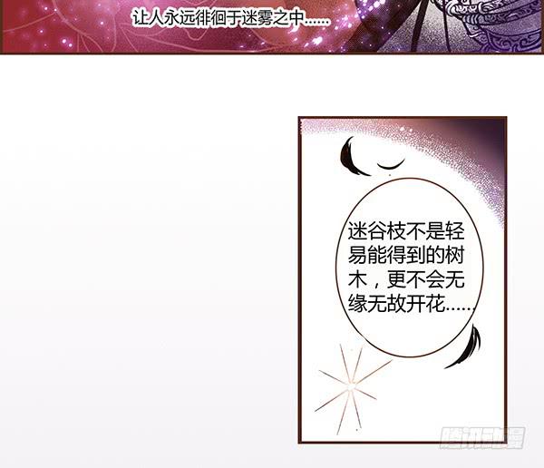 06 樱桃树木18
