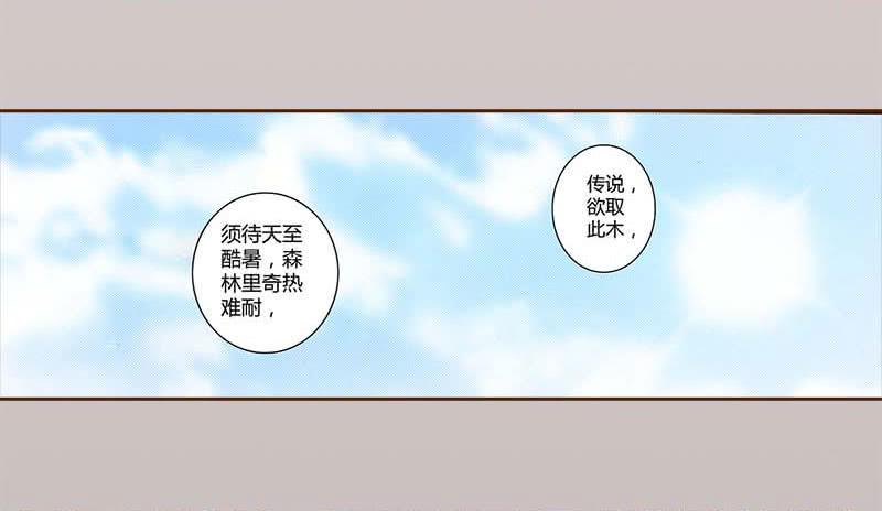 31 不死之木（二）10