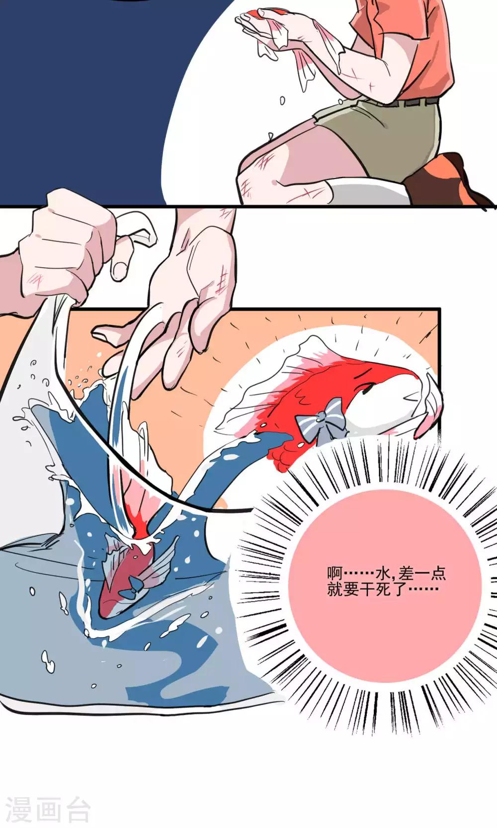 预告3