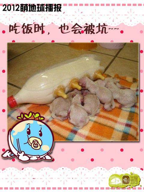 第15集13