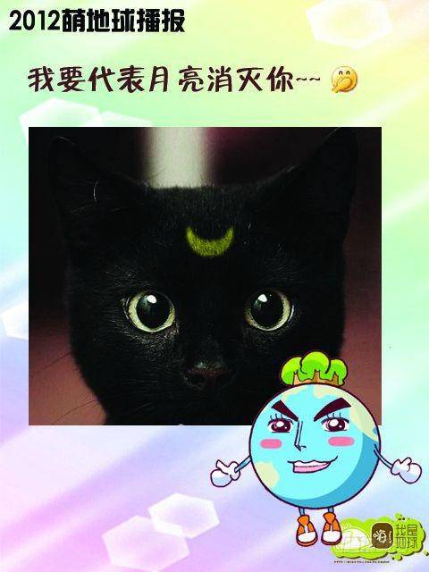 第15集11