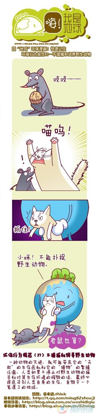 第8集11