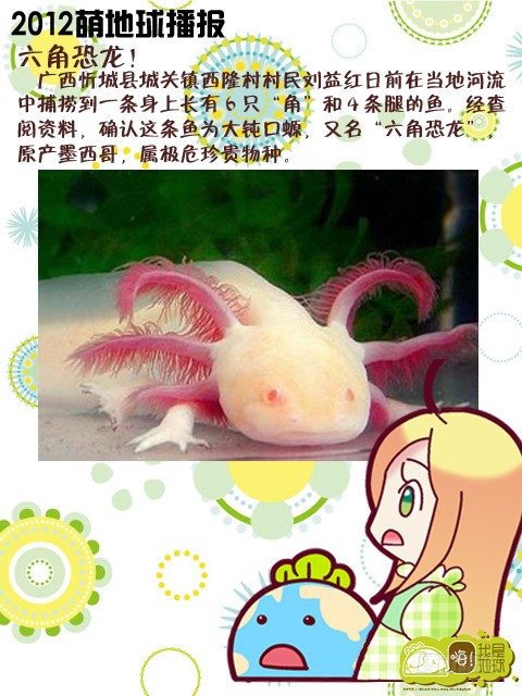 第15集45