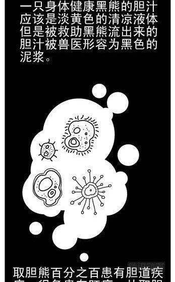 第3集17