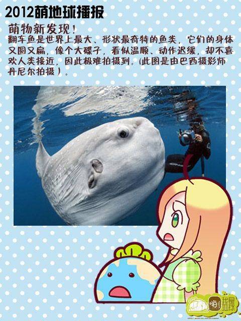 第15集15