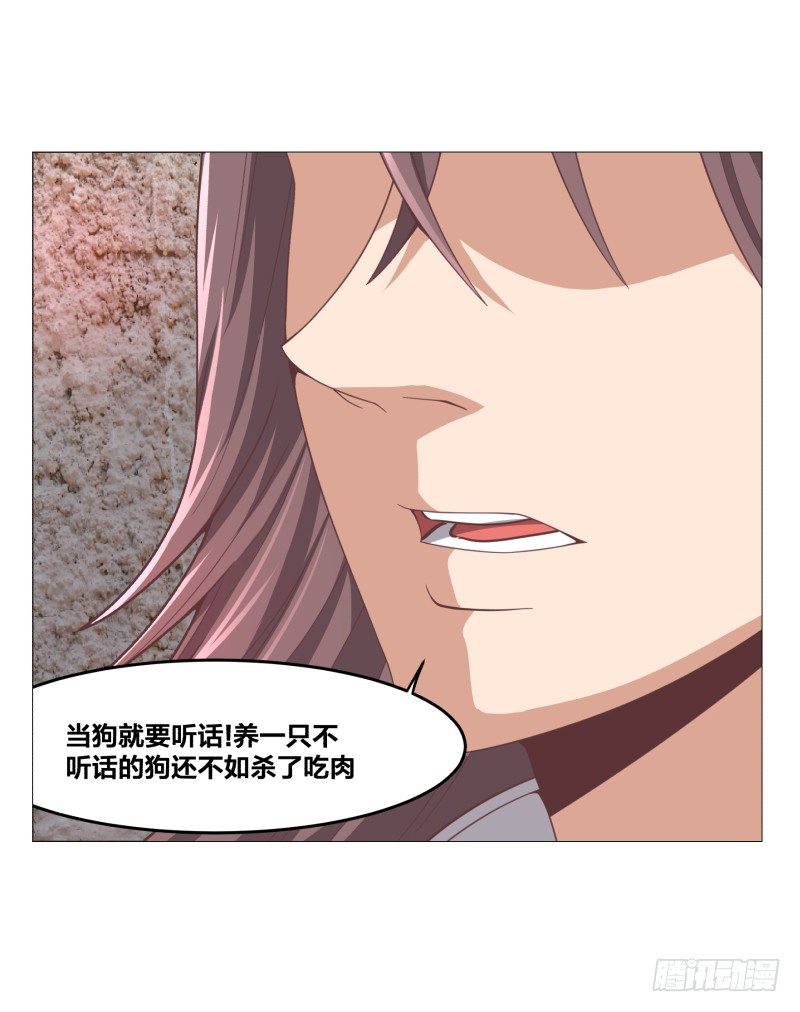 德鲁伊5