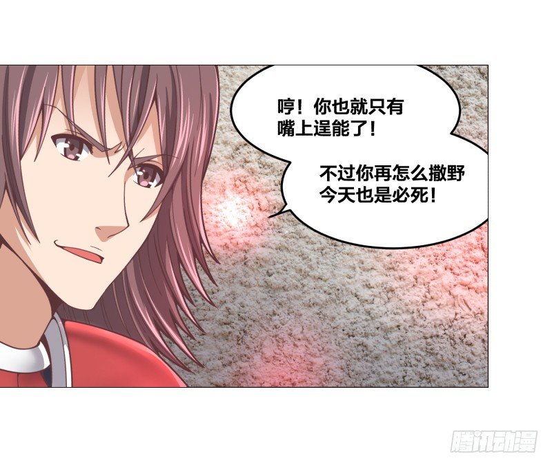 德鲁伊11