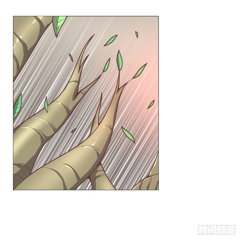 德鲁伊40