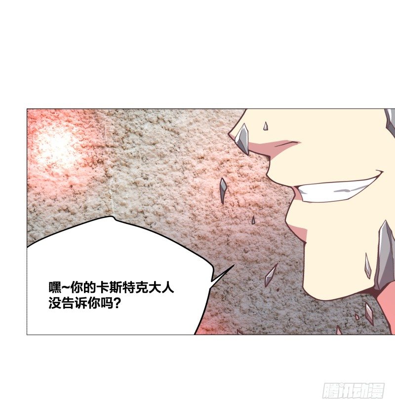 德鲁伊31