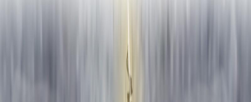 第十话 野兽8