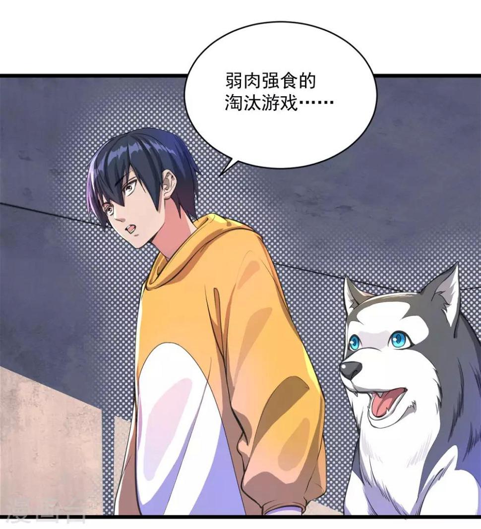第17话 盘古公司1