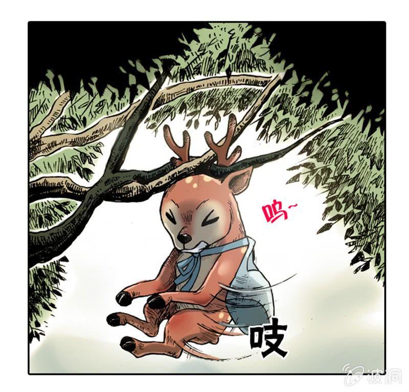 上山采药36