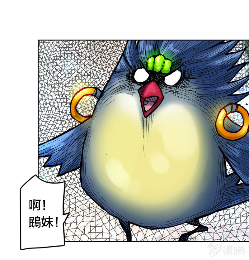 护送阿鴖鸟34
